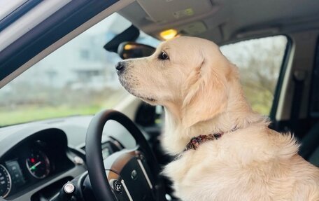 Land Rover Freelander II рестайлинг 2, 2014 год, 1 449 900 рублей, 9 фотография