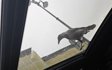 BMW X3, 2021 год, 5 590 000 рублей, 13 фотография