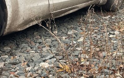 Ford Focus II рестайлинг, 2007 год, 215 000 рублей, 1 фотография