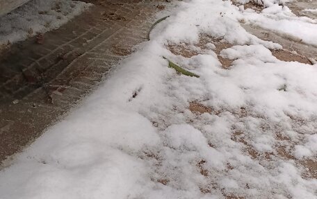 Subaru Legacy VII, 1991 год, 190 000 рублей, 8 фотография