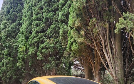 Audi TT, 2008 год, 1 499 999 рублей, 14 фотография