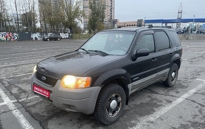 Ford Escape II, 2001 год, 260 000 рублей, 1 фотография