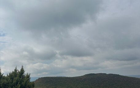 Skoda Octavia, 2019 год, 2 350 000 рублей, 8 фотография