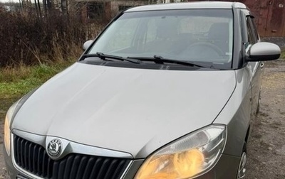 Skoda Fabia II, 2010 год, 478 888 рублей, 1 фотография