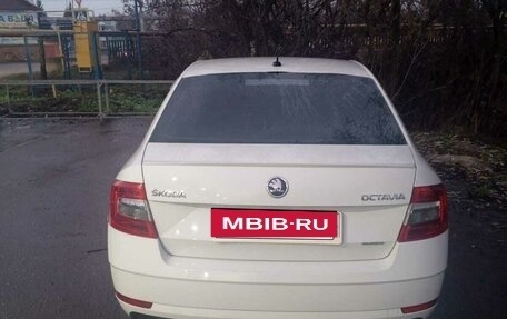 Skoda Octavia, 2019 год, 2 200 000 рублей, 7 фотография