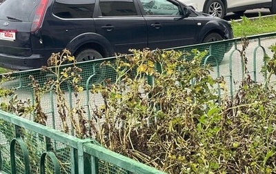 Ford Focus II рестайлинг, 2006 год, 250 000 рублей, 1 фотография