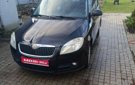 Skoda Fabia II, 2009 год, 355 000 рублей, 1 фотография