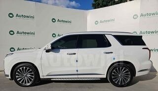 Hyundai Palisade I, 2023 год, 5 450 000 рублей, 2 фотография