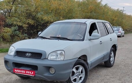 Hyundai Santa Fe III рестайлинг, 2003 год, 450 000 рублей, 2 фотография