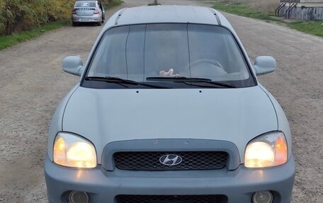 Hyundai Santa Fe III рестайлинг, 2003 год, 450 000 рублей, 13 фотография