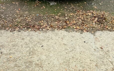 Mercedes-Benz E-Класс, 1995 год, 590 000 рублей, 17 фотография