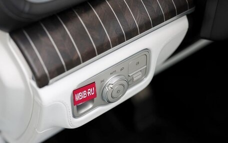 Mercedes-Benz Maybach GLS I, 2024 год, 21 540 076 рублей, 20 фотография