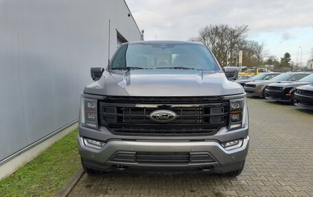 Ford F-150, 2023 год, 5 600 000 рублей, 1 фотография