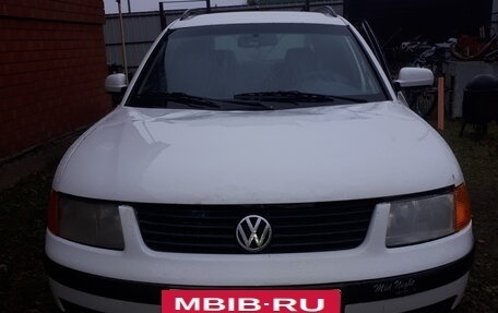 Volkswagen Passat B5+ рестайлинг, 1998 год, 200 000 рублей, 5 фотография