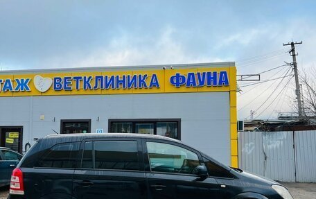 Opel Zafira B, 2010 год, 510 000 рублей, 3 фотография