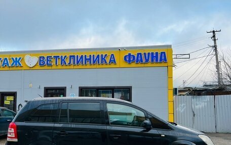 Opel Zafira B, 2010 год, 510 000 рублей, 4 фотография