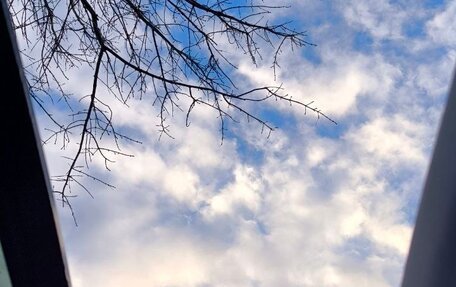 Chery Tiggo 7 Pro, 2020 год, 1 530 000 рублей, 6 фотография