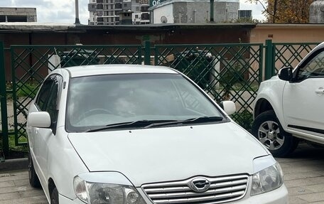 Toyota Corolla, 2004 год, 650 000 рублей, 1 фотография