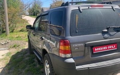 Ford Escape II, 2004 год, 750 000 рублей, 1 фотография