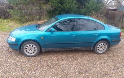 Volkswagen Passat B5+ рестайлинг, 1997 год, 300 000 рублей, 1 фотография