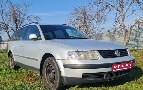 Volkswagen Passat B5+ рестайлинг, 1998 год, 420 000 рублей, 1 фотография