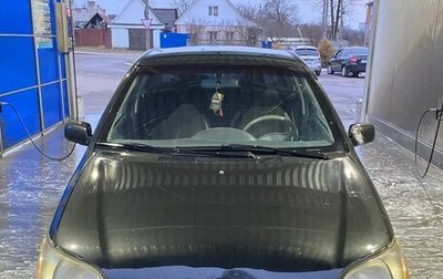 Toyota Echo, 2002 год, 240 000 рублей, 1 фотография