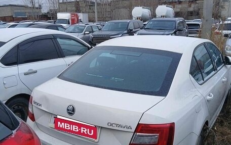Skoda Octavia, 2013 год, 731 500 рублей, 4 фотография
