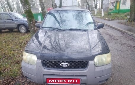 Ford Escape II, 2001 год, 300 000 рублей, 1 фотография