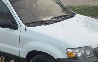 Ford Escape II, 2004 год, 650 000 рублей, 1 фотография