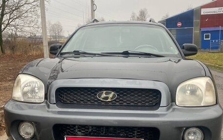 Hyundai Santa Fe III рестайлинг, 2002 год, 390 000 рублей, 1 фотография