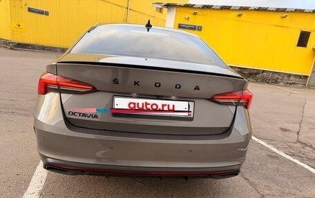 Skoda Octavia IV, 2024 год, 3 100 000 рублей, 27 фотография