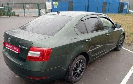 Skoda Octavia, 2020 год, 5 фотография