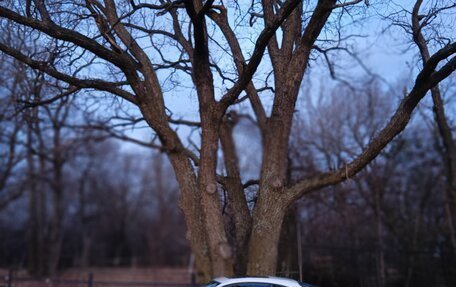 Honda Integra III рестайлинг, 1993 год, 500 000 рублей, 4 фотография