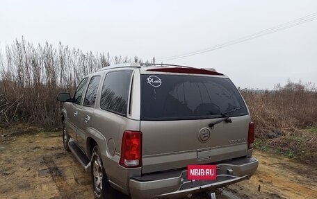 Cadillac Escalade II, 2002 год, 780 000 рублей, 2 фотография