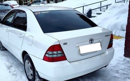 Toyota Corolla, 2003 год, 620 000 рублей, 4 фотография