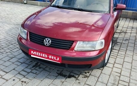 Volkswagen Passat B5+ рестайлинг, 1999 год, 350 000 рублей, 8 фотография