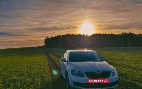 Skoda Octavia, 2015 год, 1 300 000 рублей, 13 фотография