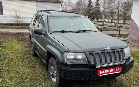 Jeep Grand Cherokee, 2003 год, 520 000 рублей, 2 фотография