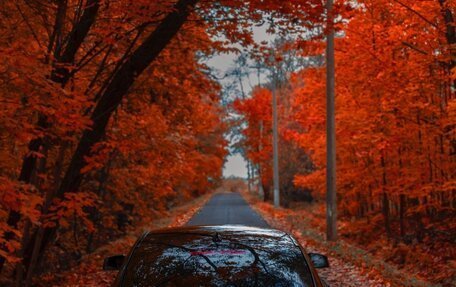 Mercedes-Benz CLS, 2014 год, 2 250 000 рублей, 4 фотография