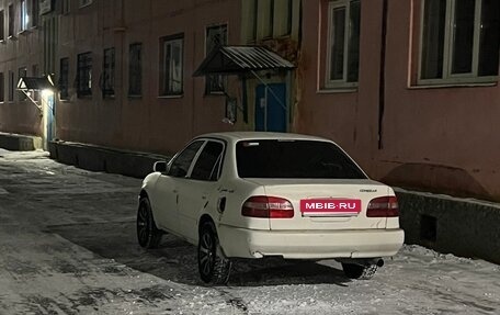 Toyota Corolla, 1998 год, 300 000 рублей, 2 фотография