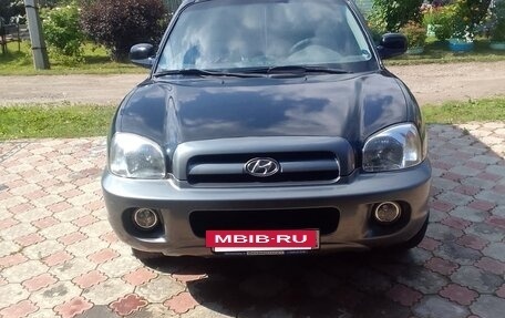 Hyundai Santa Fe III рестайлинг, 2004 год, 620 000 рублей, 2 фотография