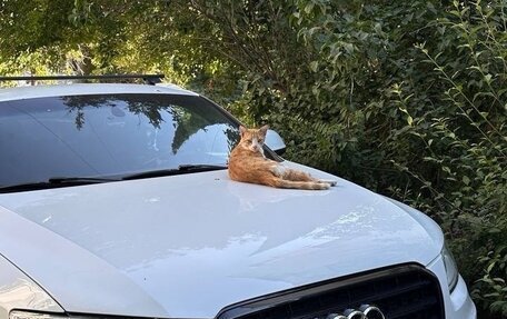 Audi Q5, 2014 год, 2 300 000 рублей, 1 фотография