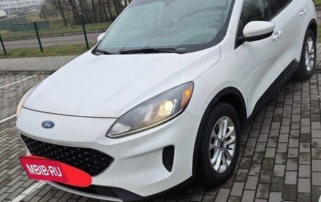 Ford Escape, 2020 год, 1 430 000 рублей, 1 фотография