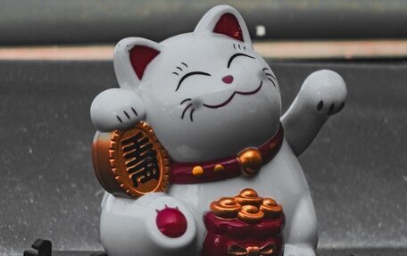 Nissan Skyline, 1999 год, 750 000 рублей, 10 фотография