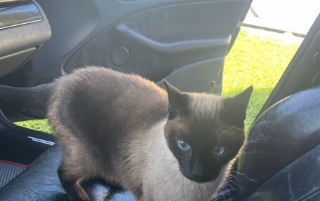 BMW 3 серия, 2000 год, 630 000 рублей, 11 фотография