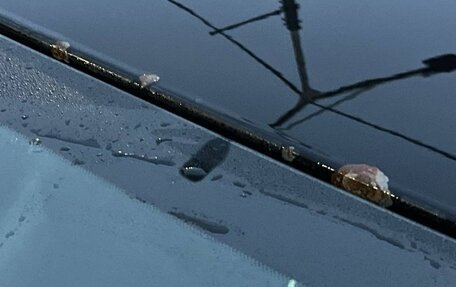 Citroen C5 II, 2010 год, 430 000 рублей, 4 фотография