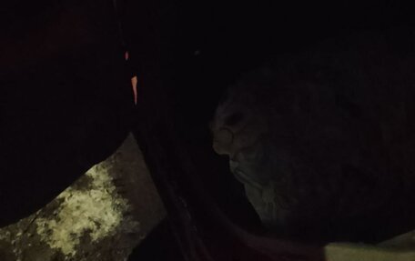 KIA Picanto I, 2007 год, 275 000 рублей, 7 фотография