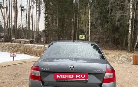 Skoda Octavia, 2016 год, 1 420 000 рублей, 4 фотография