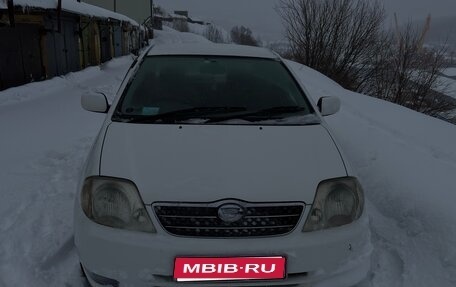 Toyota Corolla, 2002 год, 600 000 рублей, 1 фотография