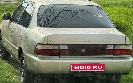 Toyota Corolla, 1994 год, 220 000 рублей, 5 фотография